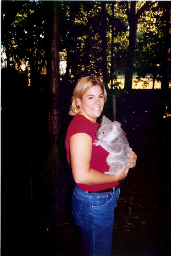 koala_1.jpg