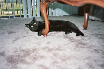 Just chillin'