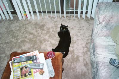 What are YOU looking at?