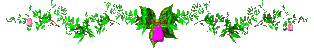 flowerdiv.gif