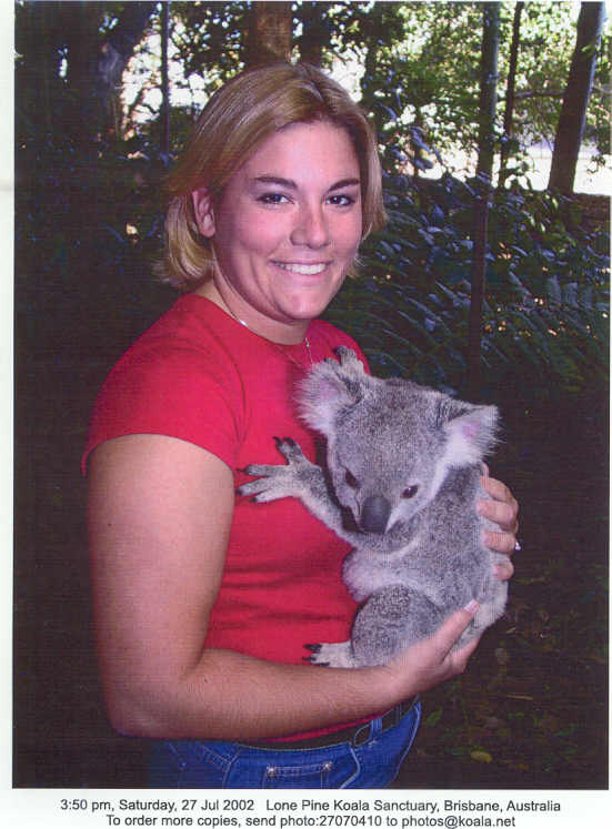 koala.jpg