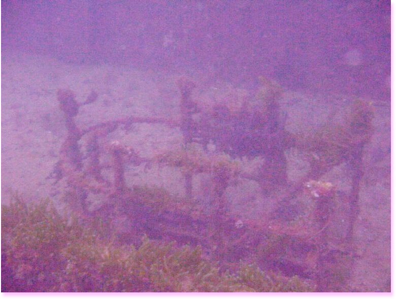 princess_anne_wreck.jpg